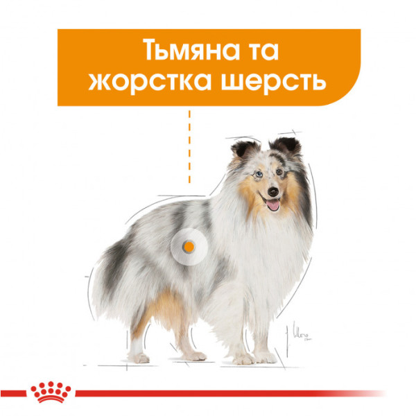Вологий корм для собак ROYAL CANIN COAT BEAUTY LOAF 85 г x 12 шт.