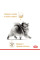 Вологий корм для собак ROYAL CANIN POMERANIAN ADULT паштет 85 г * 12 шт блок