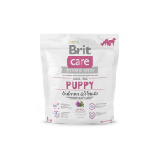Сухий гіпоалергенний корм для цуценят Brit Care (Брит Кеа) GF Puppy Salmon & Potato 1 кг з лососем і картоплею