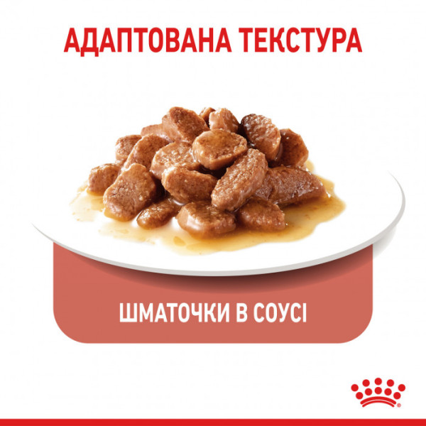 Вологий корм для дорослих котів ROYAL CANIN APPETITE CONTROL CARE шматочки в соусі 85 г * 12 шт блок