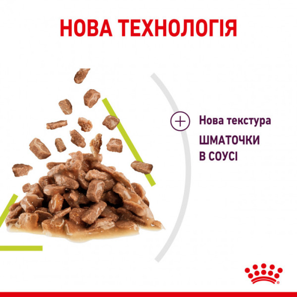 Вологий корм для дорослих котів ROYAL CANIN SENSORY SMELL GRAVY 85 г * 12 шт блок