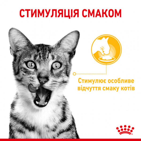 Вологий корм для дорослих котів ROYAL CANIN SENSORY TASTE GRAVY 85 г * 12 шт блок