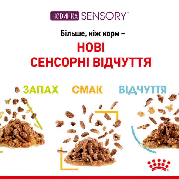 Вологий корм для дорослих котів ROYAL CANIN SENSORY TASTE JELLY 85 г * 12 шт блок
