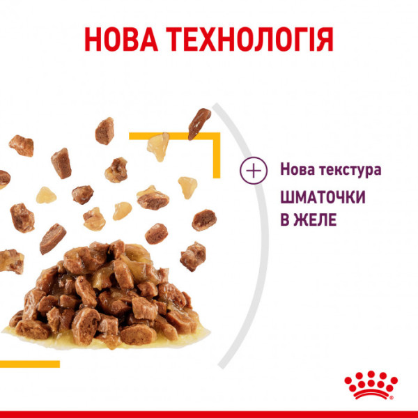 Вологий корм для дорослих котів ROYAL CANIN SENSORY TASTE JELLY 85 г * 12 шт блок