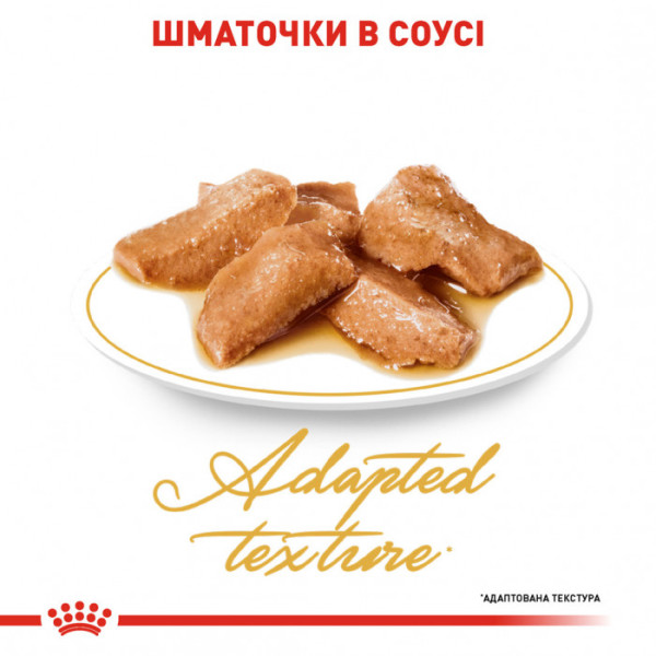 Акція! 3+1! Вологий корм для дорослих котів ROYAL CANIN MAINECOON ADULT 85 г