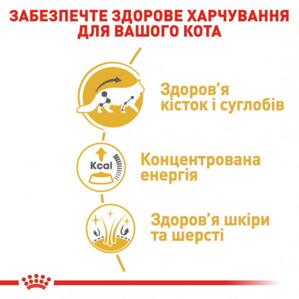 Акція! 3+1! Вологий корм для дорослих котів ROYAL CANIN MAINECOON ADULT 85 г