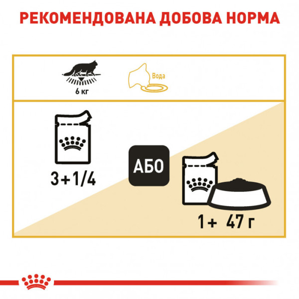 Акція! 3+1! Вологий корм для дорослих котів ROYAL CANIN MAINECOON ADULT 85 г