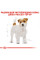 Корм для дорослих собак ROYAL CANIN JACK RUSSEL ADULT 1.5 кг