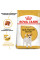 Корм для дорослих собак ROYAL CANIN JACK RUSSEL ADULT 7.5 кг
