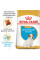 Корм для цуценят ROYAL CANIN JACK RUSSEL PUPPY 1.5 кг