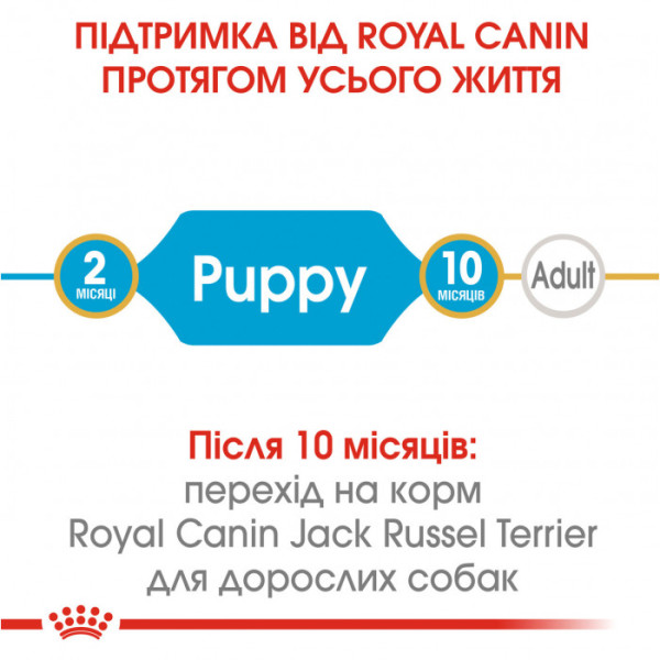 Корм для цуценят ROYAL CANIN JACK RUSSEL PUPPY 1.5 кг