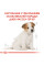Корм для цуценят ROYAL CANIN JACK RUSSEL PUPPY 1.5 кг
