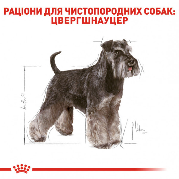 Корм для дорослих собак ROYAL CANIN SCHNAUZER ADULT 3 кг