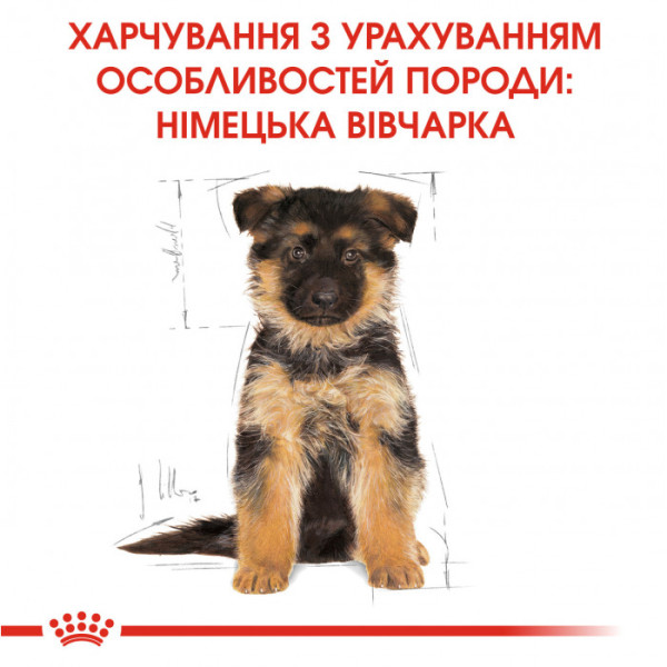 Корм для цуценят ROYAL CANIN GERMAN SHEPHERD PUPPY 3 кг