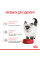 Корм для кошенят ROYAL CANIN KITTEN 2 кг+контейнер!
