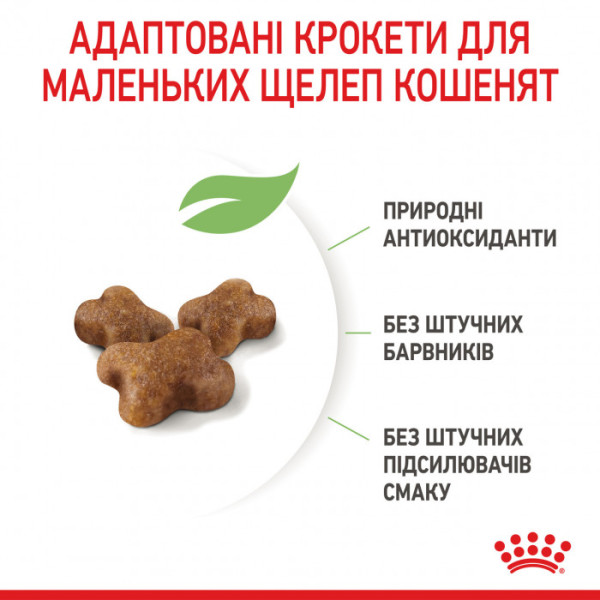 Корм для кошенят ROYAL CANIN KITTEN 2 кг+контейнер!
