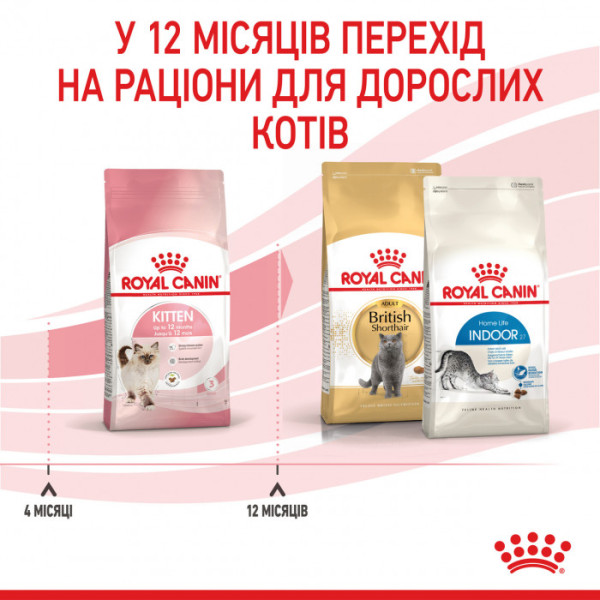 Корм для кошенят ROYAL CANIN KITTEN 2 кг+контейнер!