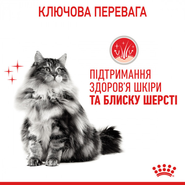 Корм для котів ROYAL CANIN HAIR&SKIN CARE 2 кг