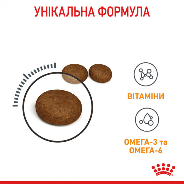 Корм для котів ROYAL CANIN HAIR&SKIN CARE 2 кг