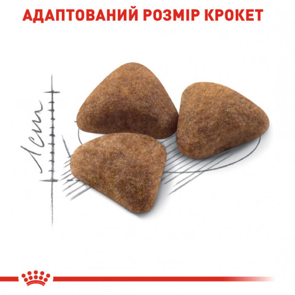 Корм для домашніх котів ROYAL CANIN INDOOR 4 кг + 5 л catsan в подарунок!