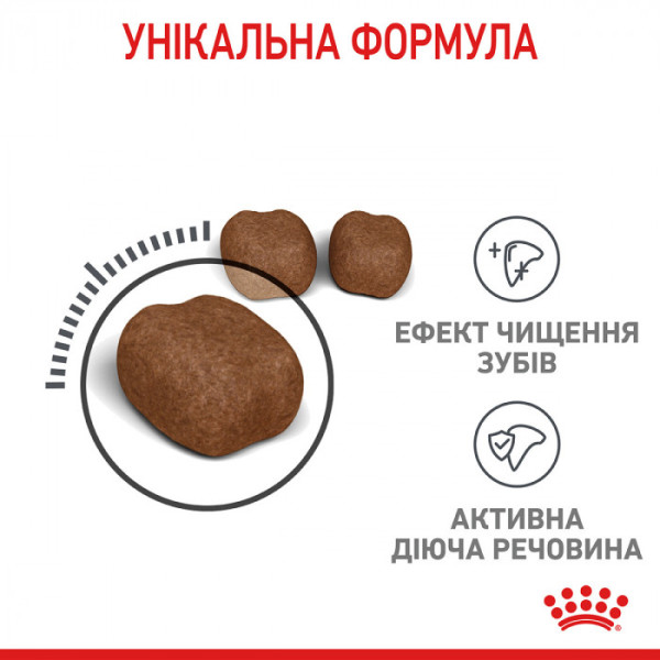 Корм для котів ROYAL CANIN DENTAL CARE 1.5 кг