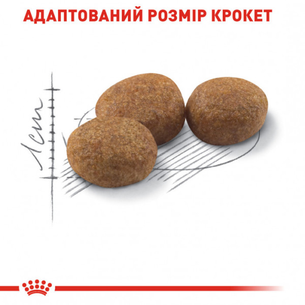 Акція! Корм для дорослих стерилізованих кішок ROYAL CANIN STERILISED 1.6 кг + 400 г у подарунок
