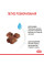 Корм для новонароджених кошенят та кішок під час вагітності ROYAL CANIN MOTHER & BABYCAT 10 кг
