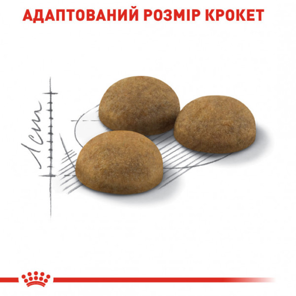 Корм для домашніх котів ROYAL CANIN INDOOR LONGHAIR 0,4 кг
