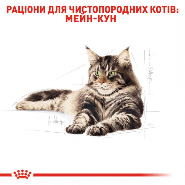 Корм для дорослих котів ROYAL CANIN MAINECOON ADULT 4 кг + 5 л catsan в подарунок!