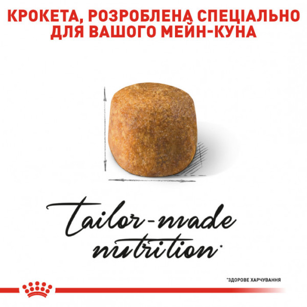 Корм для дорослих котів ROYAL CANIN MAINECOON ADULT 4 кг + 5 л catsan в подарунок!
