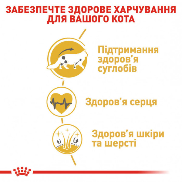 Корм для дорослих котів ROYAL CANIN MAINECOON ADULT 4 кг + 5 л catsan в подарунок!
