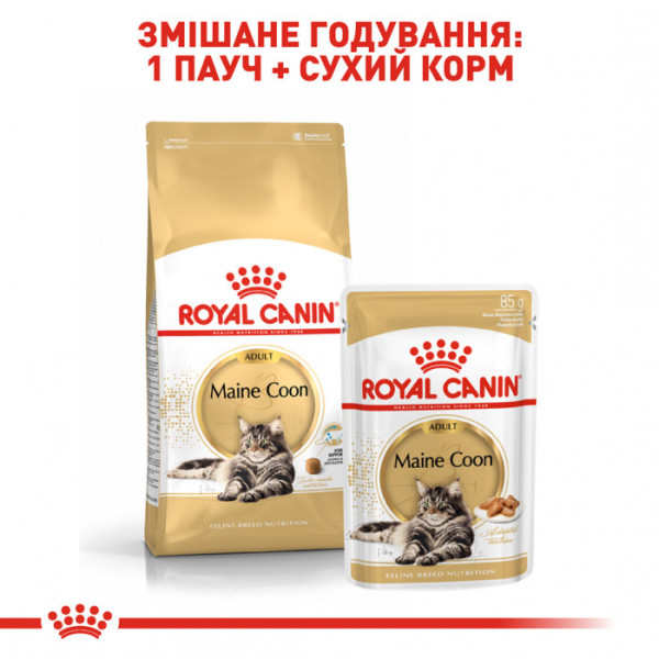 Корм для дорослих котів ROYAL CANIN MAINECOON ADULT 4 кг + 5 л catsan в подарунок!