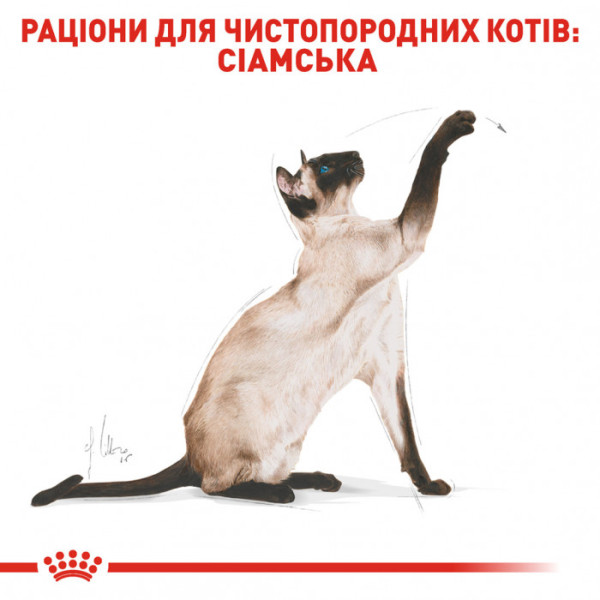 Корм для дорослих котів ROYAL CANIN SIAMESE ADULT 400 г