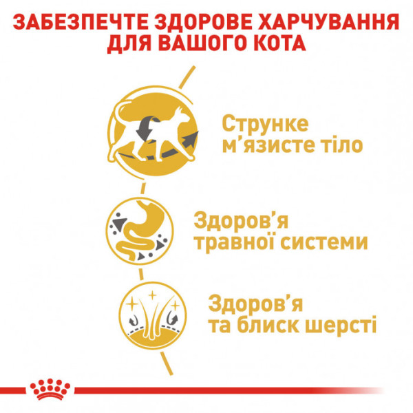 Корм для дорослих котів ROYAL CANIN SIAMESE ADULT 400 г