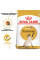 Корм для дорослих кішок ROYAL CANIN SIAMESE ADULT 2 кг