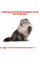 Корм для дорослих котів ROYAL CANIN PERSIAN ADULT 4 кг