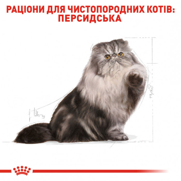 Корм для дорослих котів ROYAL CANIN PERSIAN ADULT 4 кг