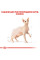 Корм для дорослих котів ROYAL CANIN SPHYNX ADULT 400 г
