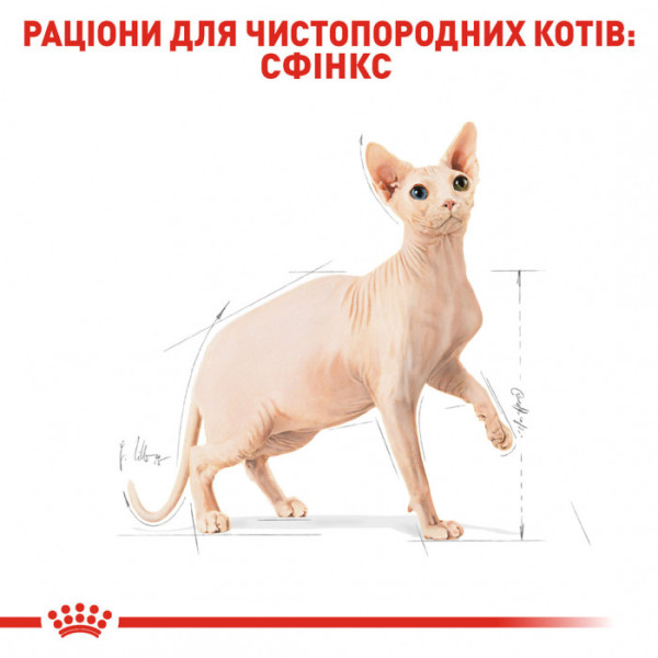 Корм для дорослих котів ROYAL CANIN SPHYNX ADULT 400 г