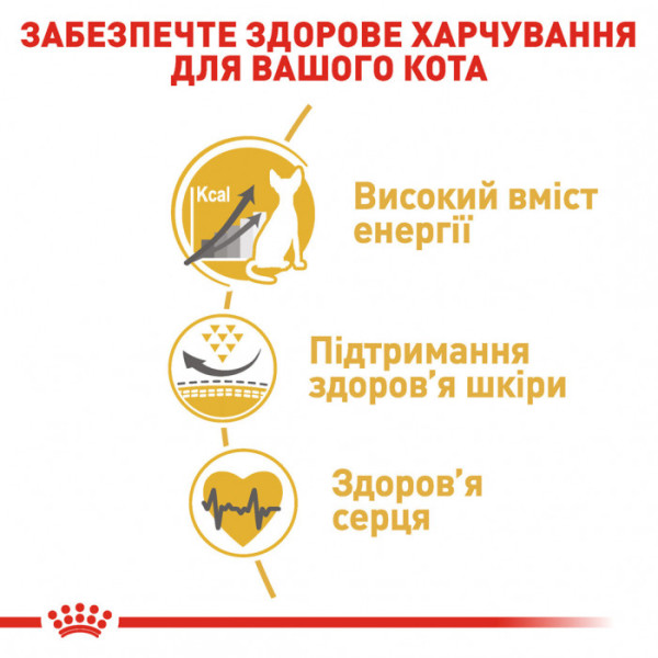 Корм для дорослих котів ROYAL CANIN SPHYNX ADULT 400 г