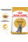 Корм для дорослих котів ROYAL CANIN BRITISH SHORTHAIR ADULT 400 г
