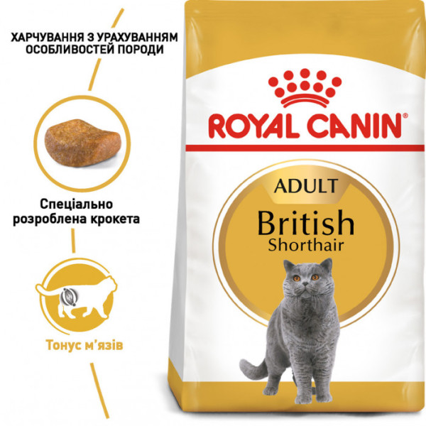 Акція! Корм для дорослих котів ROYAL CANIN BRITISH SHORTHAIR ADULT 4 кг + Catsan 5 л