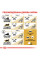 Корм для дорослих котів ROYAL CANIN BRITISH SHORTHAIR ADULT 10 кг