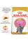 Корм для кошенят ROYAL CANIN KITTEN BRITISH SHORTHAIR 400 г