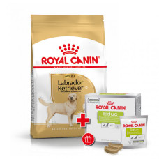 Корм для дорослих собак ROYAL CANIN LABRADOR ADULT 12 кг + EDUC 30 шт у подарунок
