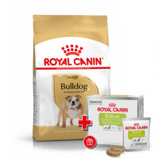 Корм для дорослих собак ROYAL CANIN BULLDOG ADULT 12 кг + EDUC 30 шт у подарунок