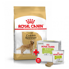 Корм для дорослих собак ROYAL CANIN GOLDEN RETRIEVER ADULT 12 кг + EDUC 30 шт у подарунок
