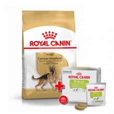 Корм для дорослих собак ROYAL CANIN GERMAN SHEPHERD ADULT 11 кг + EDUC 30 шт у подарунок