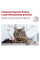 Акція! Royal Canin Mature Consult корм для котів і кішок віком від 7 років 3.5 кг+12 паучів в подарунок!