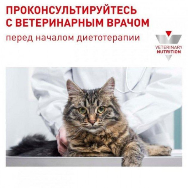 Акція! Royal Canin Mature Consult корм для котів і кішок віком від 7 років 3.5 кг+12 паучів в подарунок!